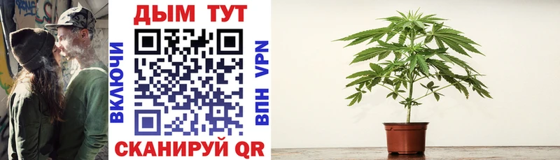 blacksprut ONION продажа наркотиков Белово Канабис White Widow